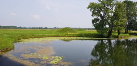 IMG-d3ec04c1f2da1b284a958696ab565091-V IMG-d3ec04c1f2da1b284a958696ab565091-V