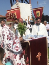 IMG-35032232bef06fafdf2e439d7bf715f2-V IMG-35032232bef06fafdf2e439d7bf715f2-V