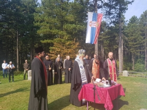 IMG-dbb1faec36d030419d19e824955d5d58-V IMG-dbb1faec36d030419d19e824955d5d58-V