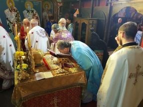 20181108_092502 20181108_092502