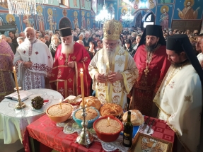 20181108_100234 20181108_100234