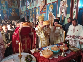 20181108_100251 20181108_100251