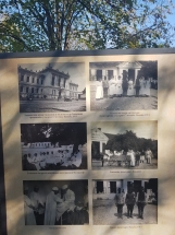 20181113_111659 20181113_111659