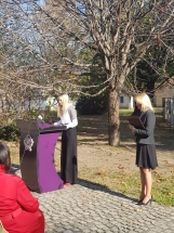 20181113_112900 20181113_112900