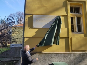 20181113_120124 20181113_120124