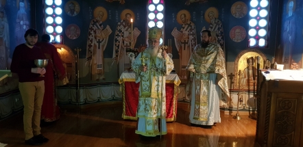 2019-01-20-007 2019-01-20-007