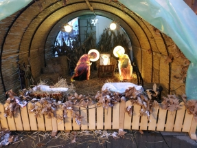 IMG_20190106_161903 IMG_20190106_161903