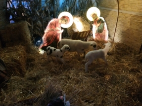 IMG_20190106_163501 IMG_20190106_163501