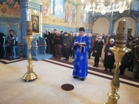 IMG_20190109_091816 IMG_20190109_091816