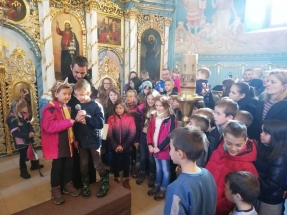 IMG_20190127_100618 IMG_20190127_100618