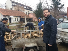 20190204_102841 20190204_102841