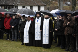 IMG-3f44375e07bf49e651ab9f1d8b6a916d-V