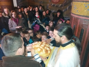 IMG-7983b4bea68ead291890c87a01d1ac3b-V IMG-7983b4bea68ead291890c87a01d1ac3b-V