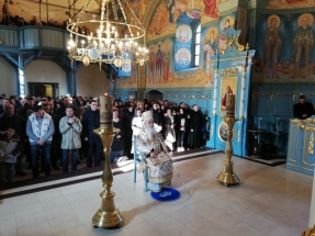 IMG_20190224_090529 IMG_20190224_090529