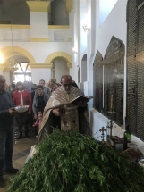 73038234-C6BB-4620-91EC-D69A31224D88 73038234-C6BB-4620-91EC-D69A31224D88