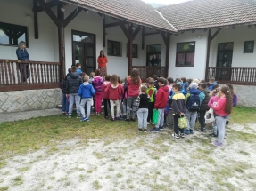 IMG-487741b0e3251837bed96ffce3296dc1-V