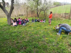 IMG-837353893d62765876deb13dceed76d1-V