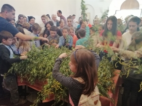 IMG_20190420_172739_1