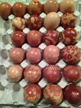 IMG_20190426_204829 IMG_20190426_204829