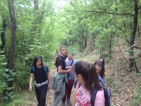 0-02-04-0cd2c0b0cba9ac83ab1d7eb9e986e01eec61d4803b5efdcd6701c04590824f41_f0f8bd99