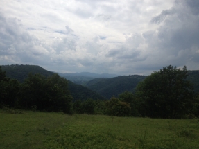 0-02-04-71ebd5fef3cf2afed05d73ee2c7ed6339c9a07e26f87dc208e2db1bfb9166411_13cf0e6