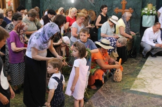 img_7577_48074182517_o