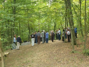 IMG-13f7c8b76452371e769ce7d48cfa04f5-V IMG-13f7c8b76452371e769ce7d48cfa04f5-V