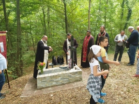 IMG-a4c2c8f7a29e0e854884d5d4018fb3fb-V IMG-a4c2c8f7a29e0e854884d5d4018fb3fb-V