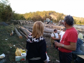 IMG_20191028_151934 IMG_20191028_151934