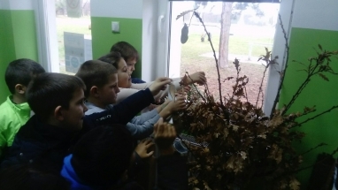 0-02-0a-2b806ed1edb545dd3711e2d8f0f892f71339152bb1097327f5846a485fc0340d_aa2eff94