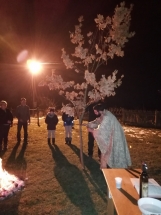 IMG_20200106_175206 IMG_20200106_175206