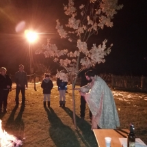 IMG_20200106_175206 IMG_20200106_175206