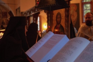 49f04a659c4d9c82d605b7cb1b11505f38f292fca86450796fed94bbb607240b