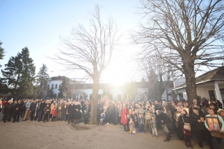 IMG-89b2cd85abd8a6b0f9977e00e3565bf3-V IMG-89b2cd85abd8a6b0f9977e00e3565bf3-V