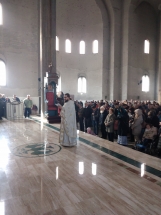 IMG-206bbc47be11413eb7d1ffa34cc035bd-V