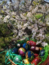 0-02-05-17358d461c8eea6a6c7f390099ec8562ecfd2bb0fced7a7b5e28c55f185b69f2_cfb0a94b