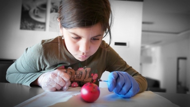 0-02-05-b1fe08e864383bd495505b57e8e7b60f21426cacd48cec432858a966a6ed0536_b139e404