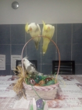 94030752_237665177639717_7179610470368673792_n