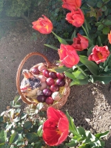 IMG-6b5ede54901aa7b5e2c9678a4c784e3f-V