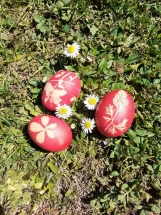 IMG-74e9d9c9f6af96b5e2895ee865a07e6c-V