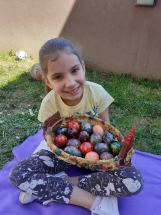 IMG-ebe878cf2004a2dbb02cd05b4ed39381-V