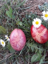 viber_image_2020-04-17_17-25-18