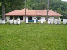 IMG-2fae5248c7f57554b9af1615e4aa48ad-V